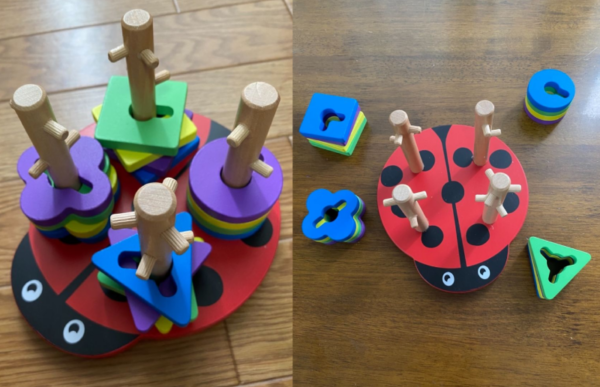 ladybug shape pairing geometric blocks