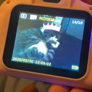 a photo of a cat taken using the littlelens kids camera