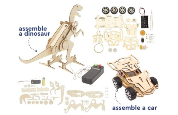 wooden dinosaur stem kit