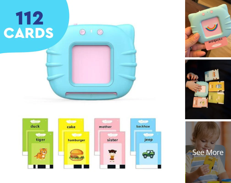 Pocket Teacher Talking Flashcards
