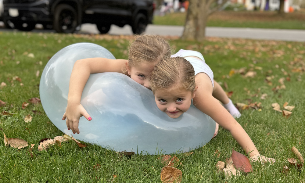 Giant Jelly Balloon Ball