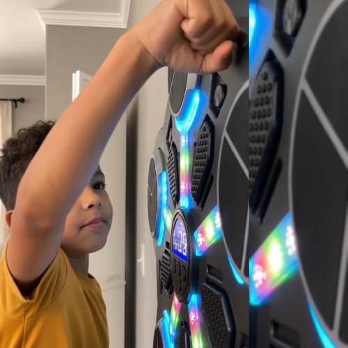 Bluetooth BeatBoxer Wall Trainer